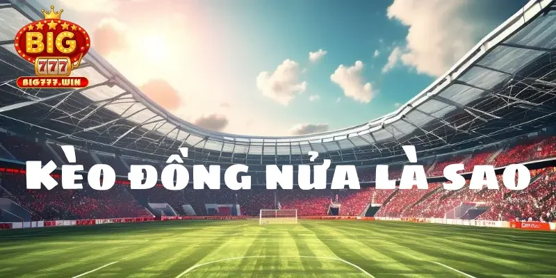 Khái niệm kèo đồng nửa là sao? 